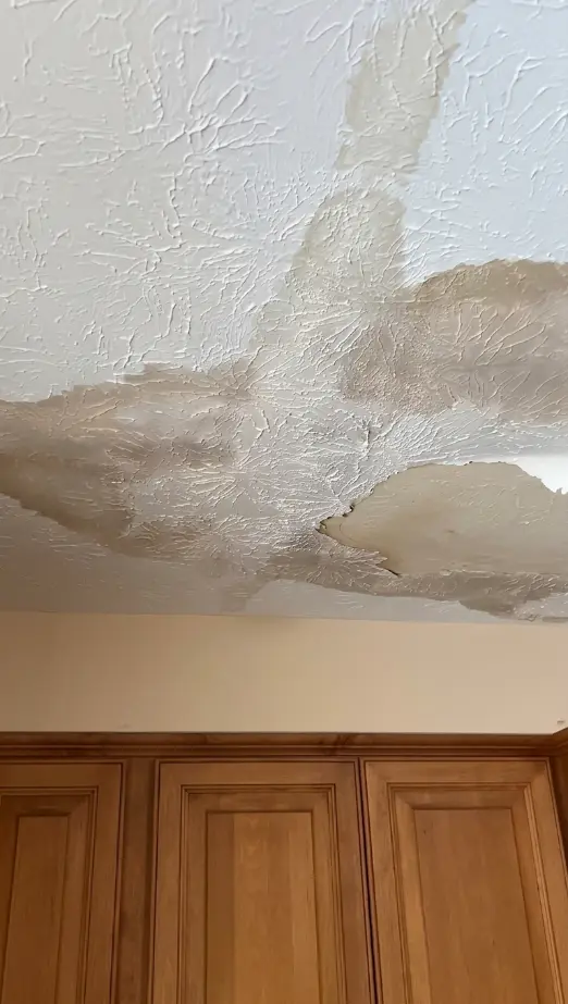 Professional water damage assessment being performed on a San Diego property