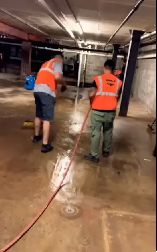 Thermal imaging detecting hidden water damage behind walls and under flooring