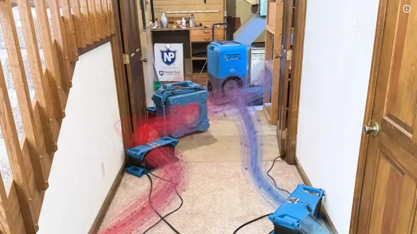 Cleaning water damaged floors walls ceilings San Diego