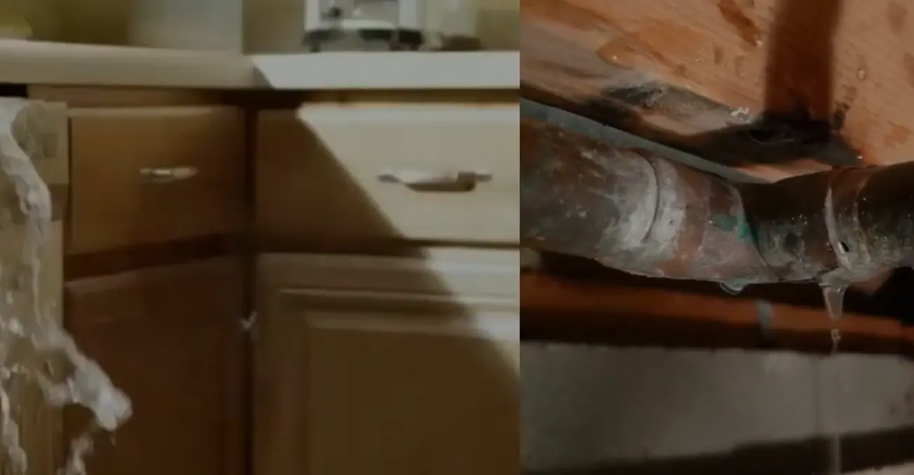 water damage restoration San Jose 2 AWM's step-by-step water damage restoration process in San Jose