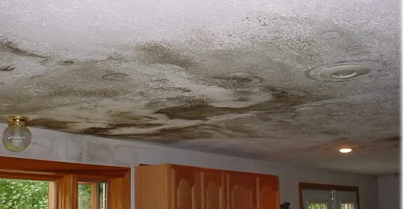 water damage restoration San Jose 8 AWM Water Damage Restoration service area map covering San Jose, CA