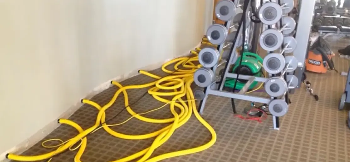 Technician assessing contaminated water damage before cleanup