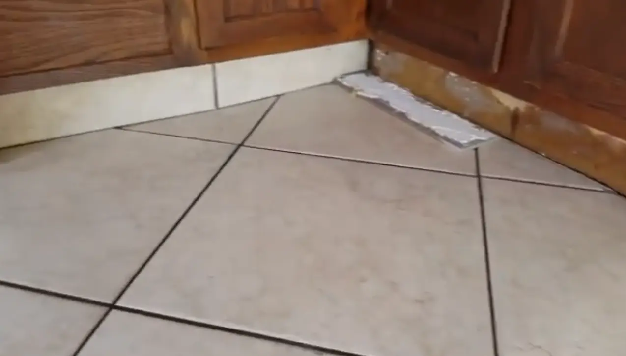 Common questions about water damage inspection answered by AWM Water Damage Restoration