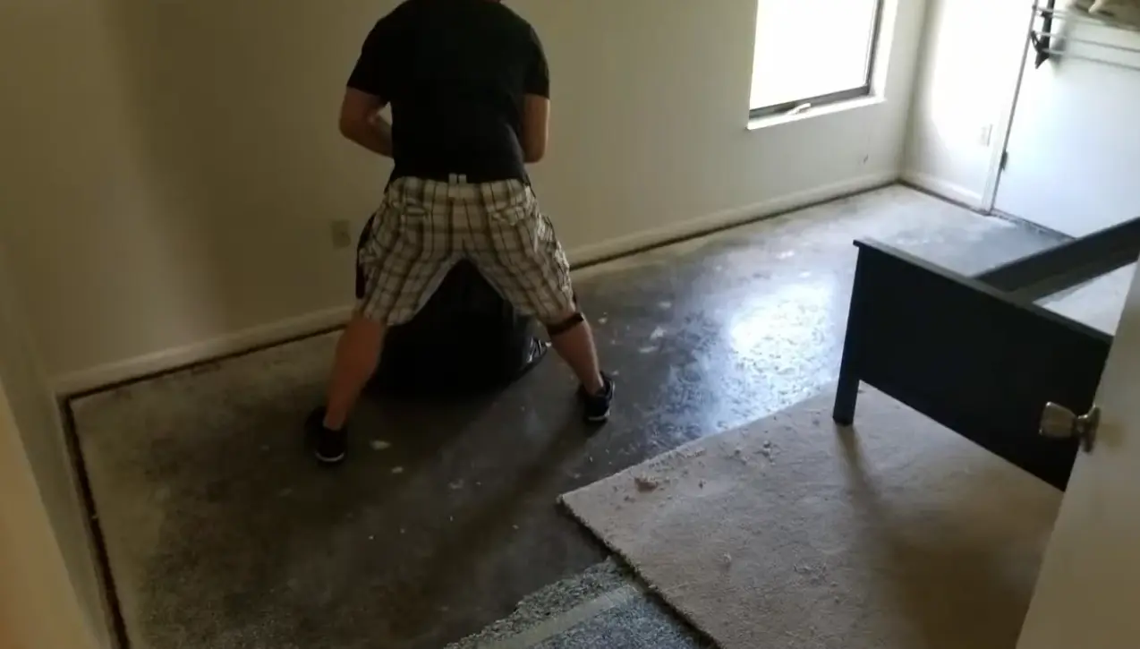 Next steps after a water damage inspection, including drying and mitigation planning