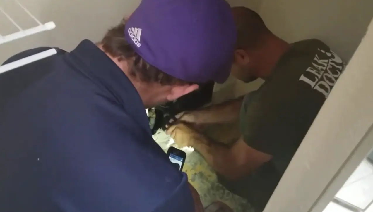 Moisture meter reading on drywall during a water damage inspection